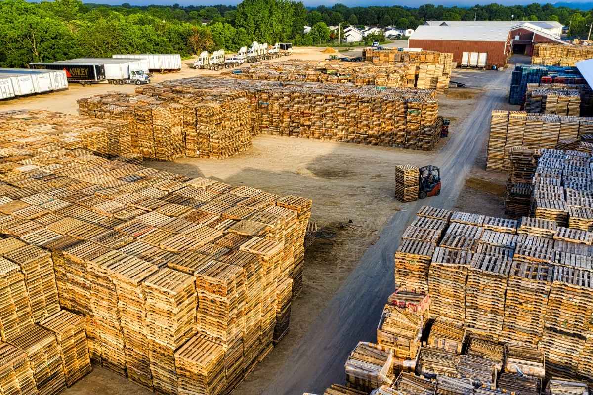 Why choose Emirates Pallets
